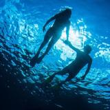Book Snorkeling Tours