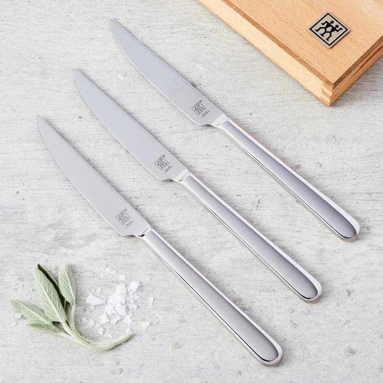 ZWILLING, Contemporary Stainless Steak Knife with Presentation Box