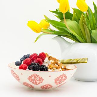 Alfama Dining Bowl, Set of 8