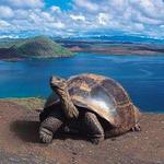 GALAPAGOS ISLANDS — 4 - 5 days trip