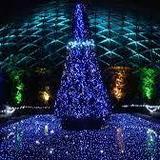 Garden Glow at Missouri Botanical Garden