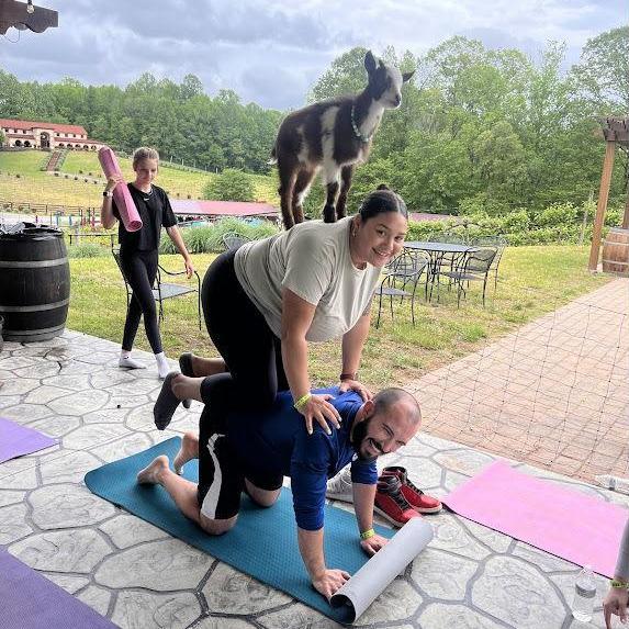 2025 - Goat Yoga - MD