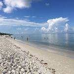 Lowdermilk Park