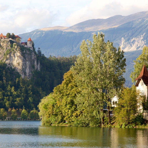 Wine and Olive Oil Tasting in Slovenia