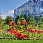 Frederik Meijer Gardens & Sculpture Park