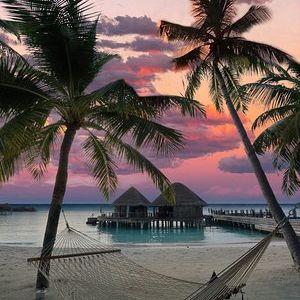 Honeymoon Fund