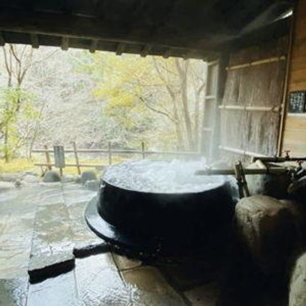 Visita a un Ryokan (posada) con un Onsen (aguas termales)