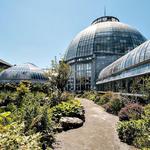 Belle Isle