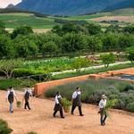 Babylonstoren