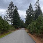 Coeur D'Alene Centennial Trail