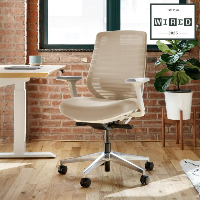 Branch Ergonomic Chair
