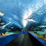 Aquarium