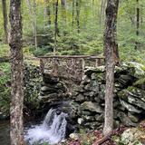 Lilly Preserve