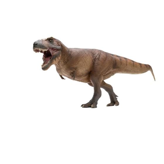 PNSO Dinosaur Museums Series (Cameron The Tyrannosaurus rex 1:35 Scietific Art Model)