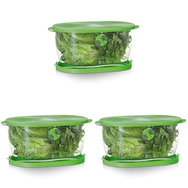 Prep Solutions by Progressive Lettuce Keeper Produce Storage Container, 4.7 Quarts, Green (LKS-06) (Pack of 3)