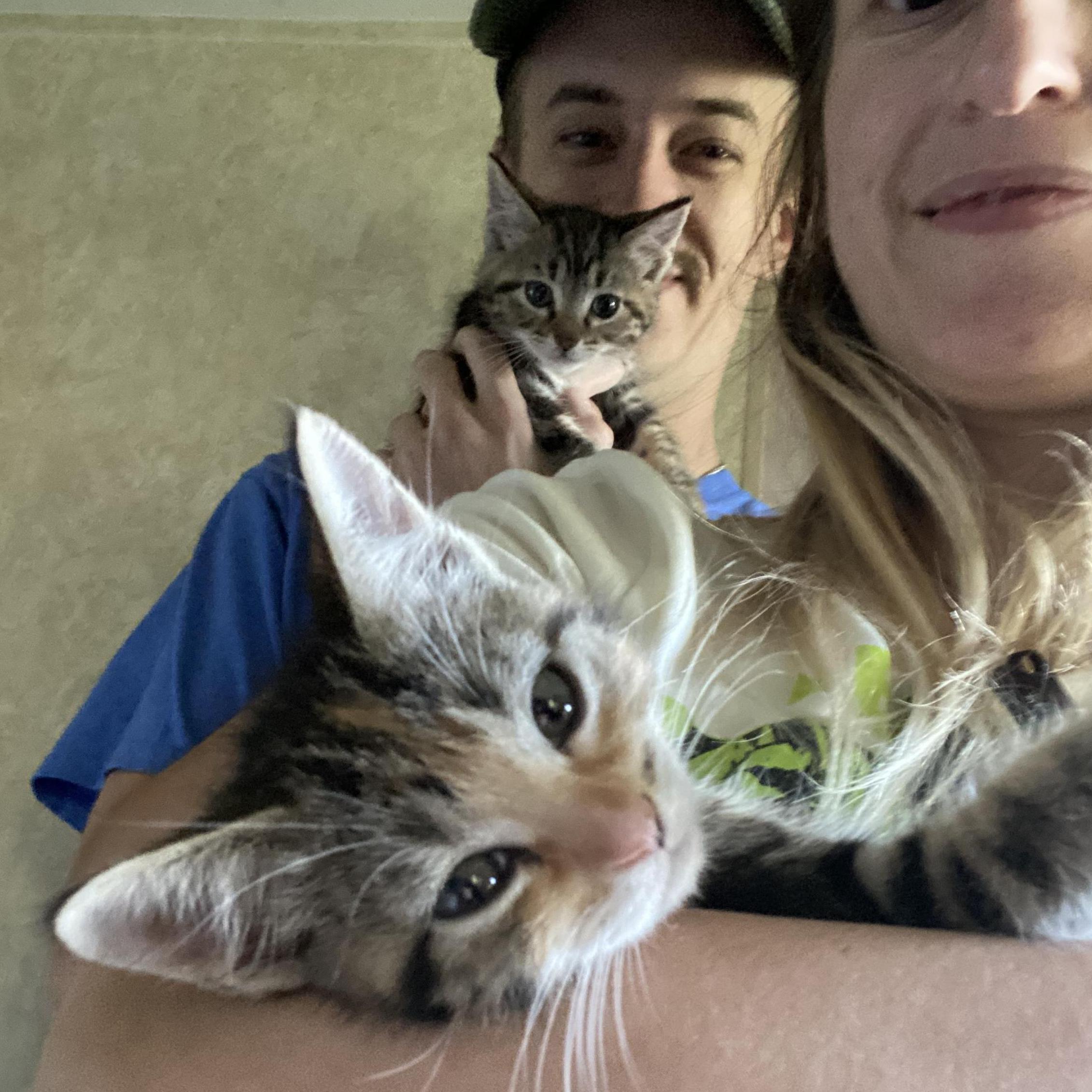 06.23.20  |  More Cats.