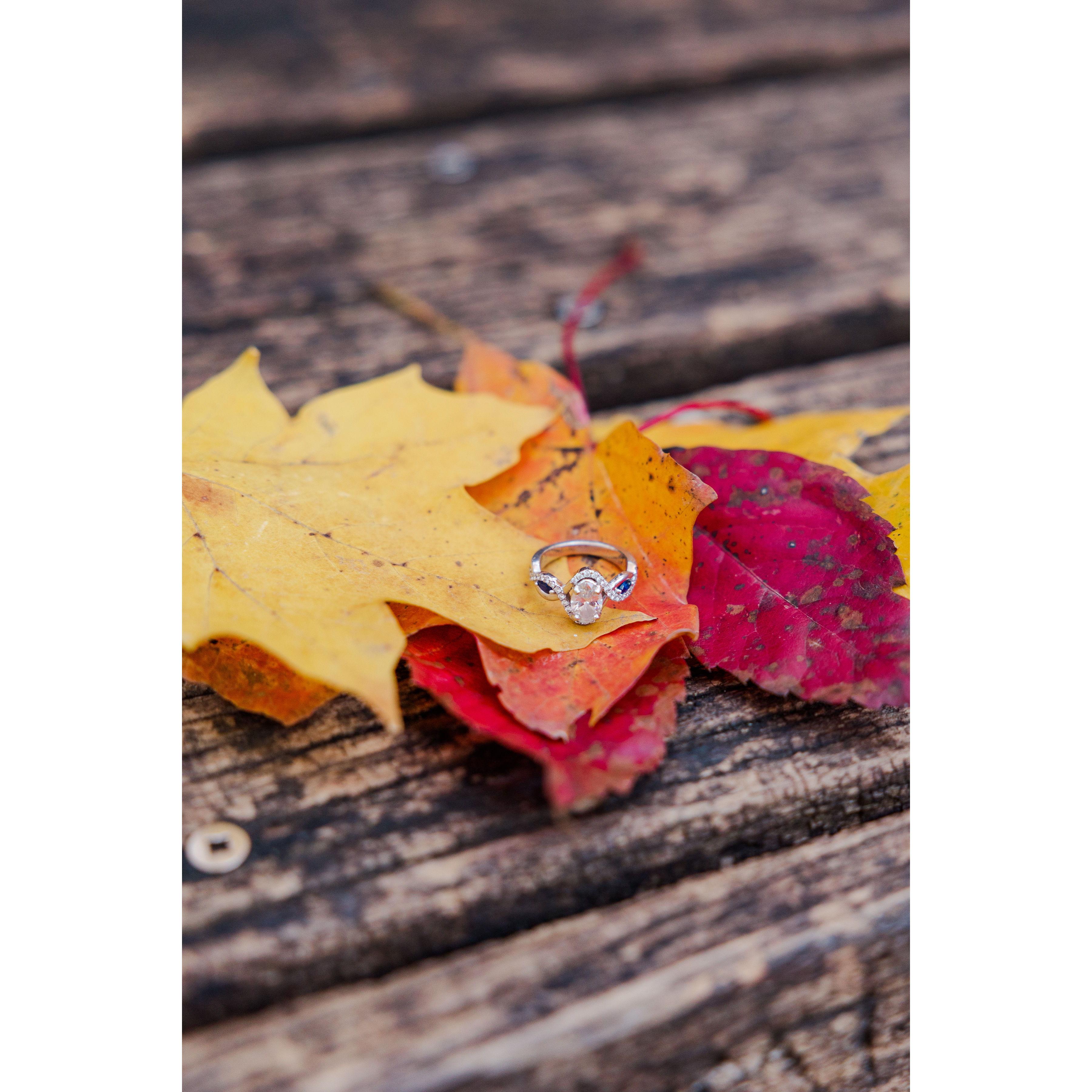 The engagement ring - sapphire to match our birth stone as well as the stone used in Niki's grandmother's ring.