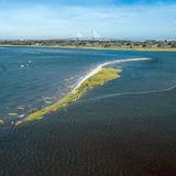 Crab Bank Island and Shark Tooth Tours
