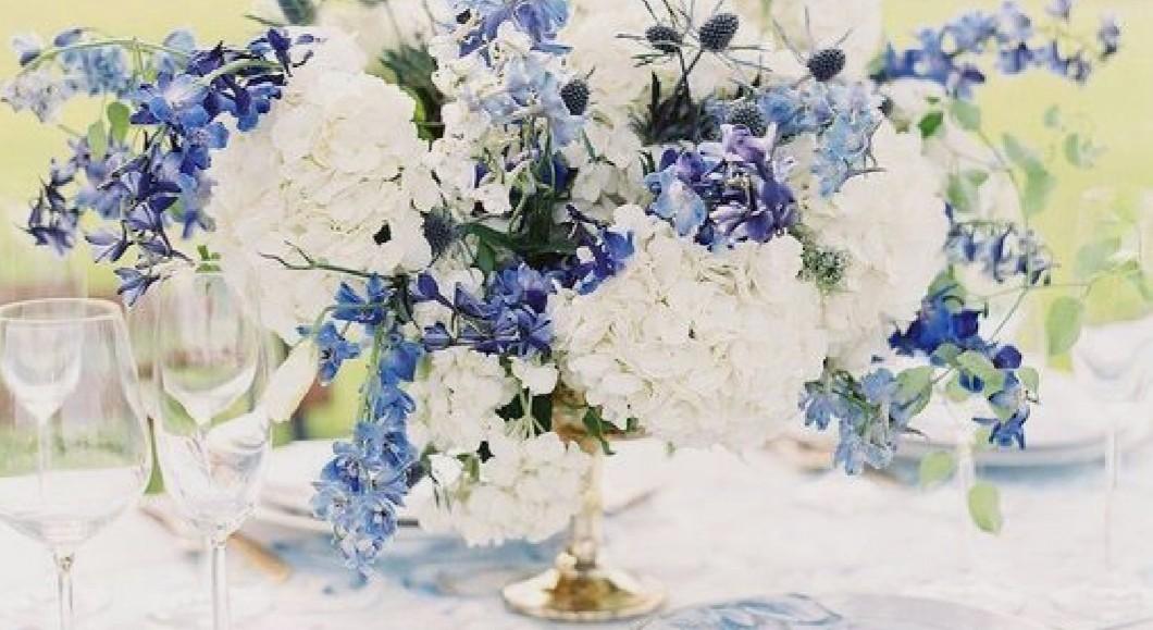 The Wedding Website of Christopher Parks and Anesha Jones