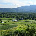 Monticello Wine Trail