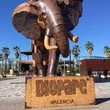 Bioparc Valencia