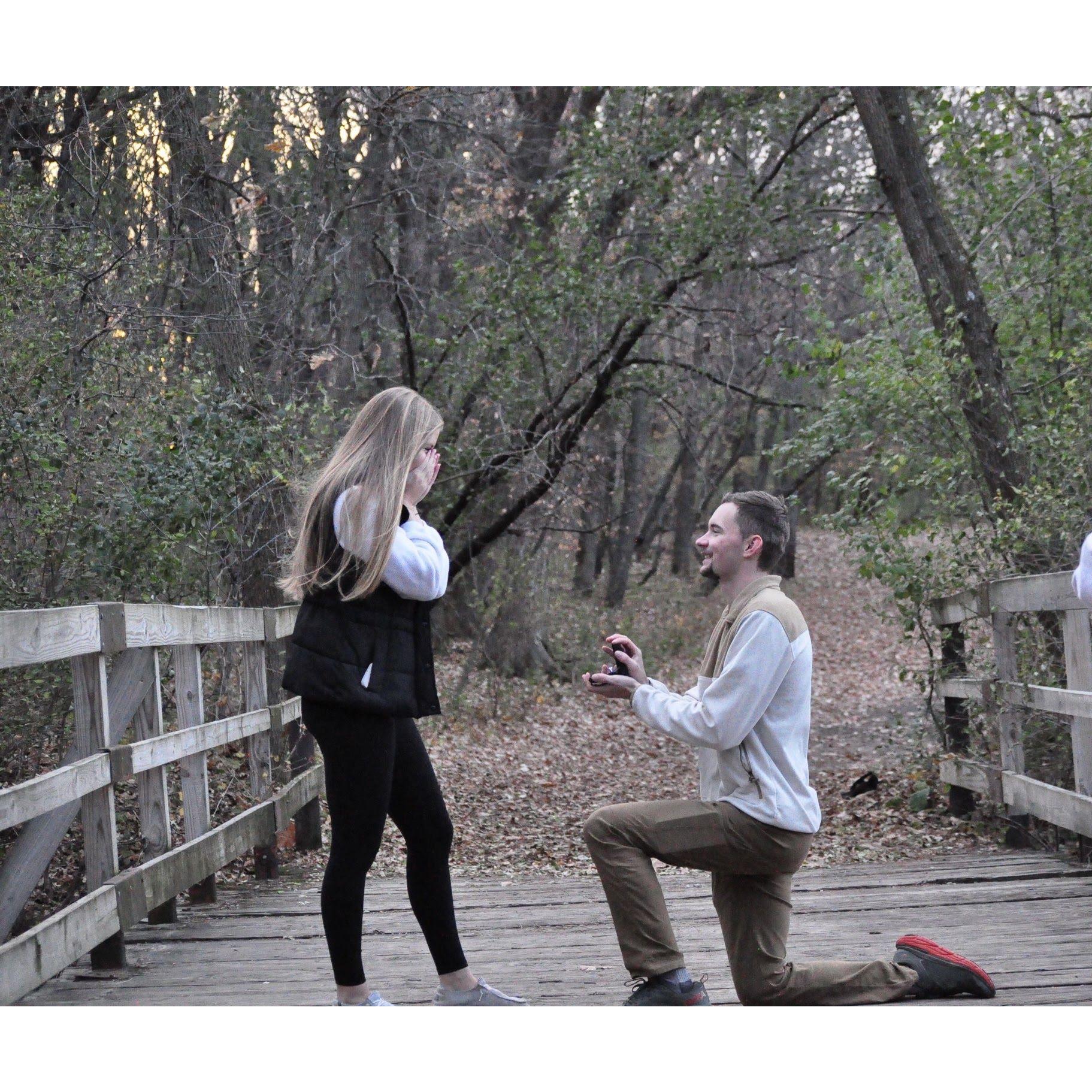 The proposal