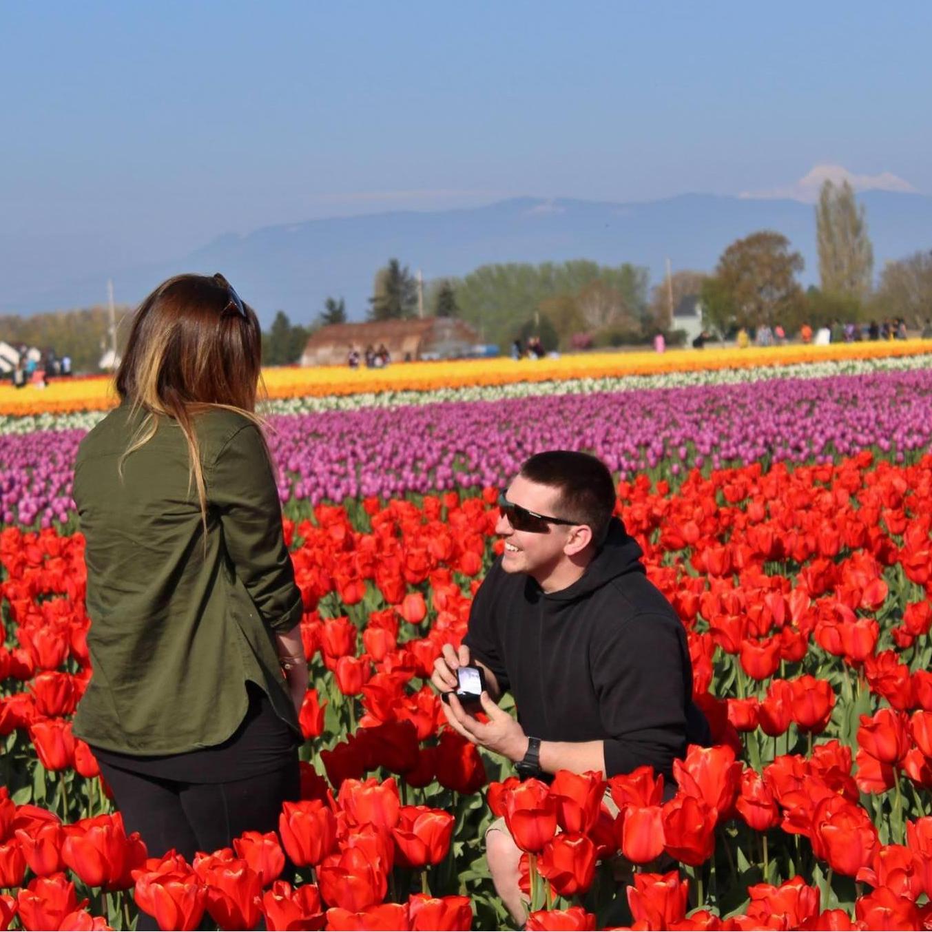 The proposal at the Tulip Festival in Skagit County