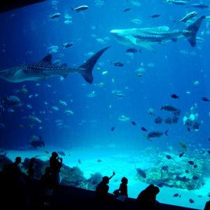 Aquarium