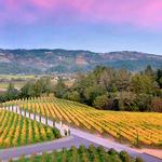 Napa Valley