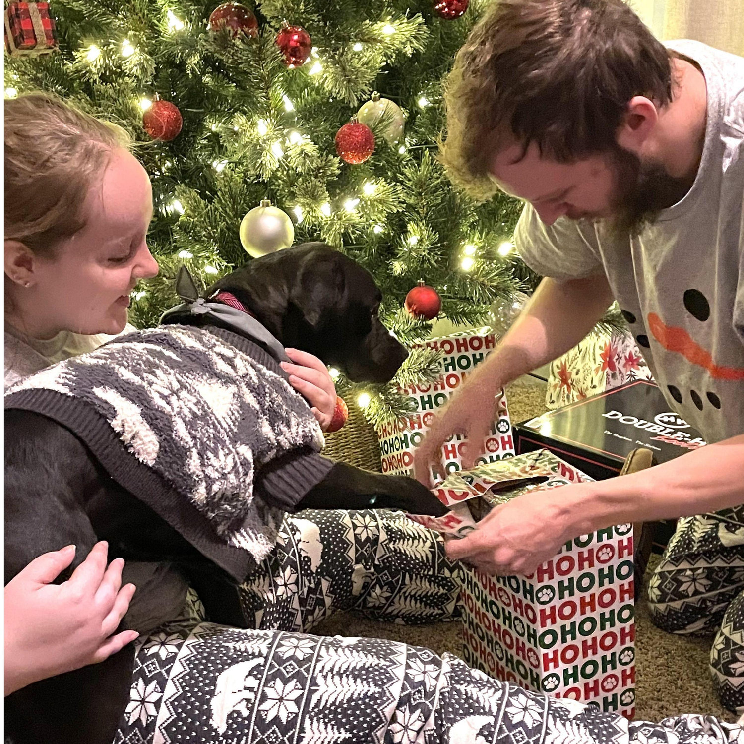 Our first Christmas in our own home