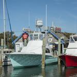 Anchorage Inn & Marina