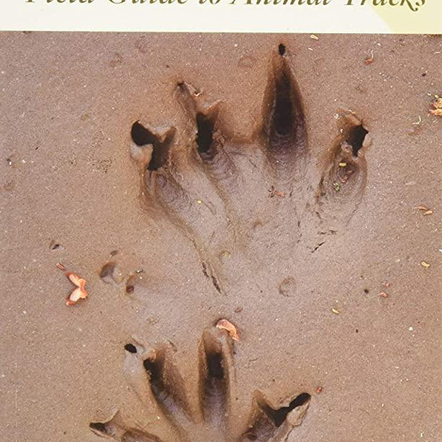 Peterson Field Guide to Animal Tracks: Third Edition (Peterson Field Guides)