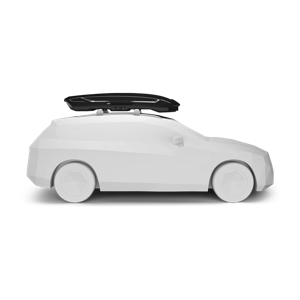 Thule Rooftop Cargo Box