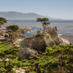 17 Mile Drive