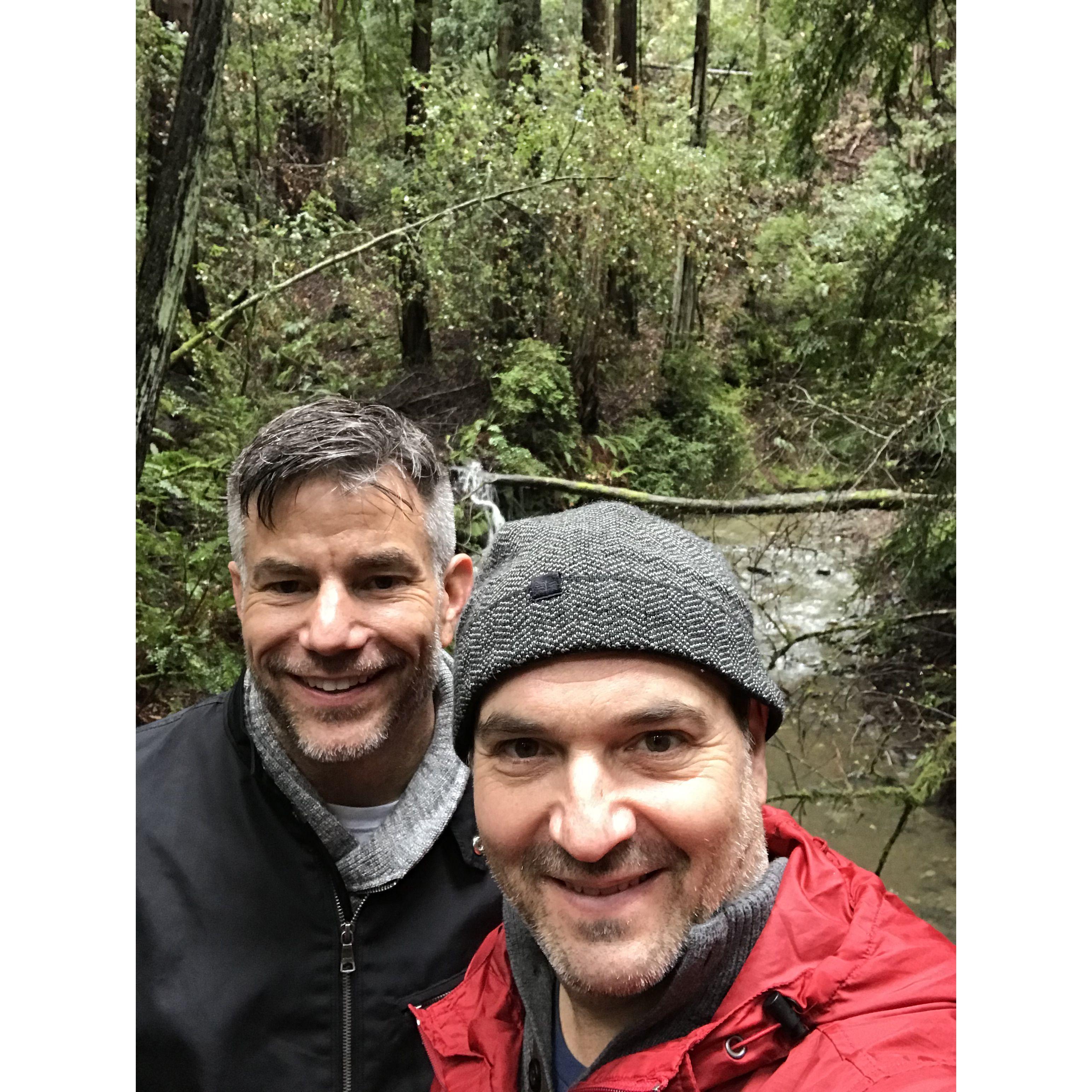 Muir Woods, Mill Valley, CA.