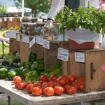 Saratoga Farmer's Market