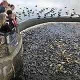 The Spillway