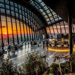 The Shard- Sky Garden