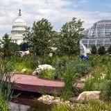Washington DC