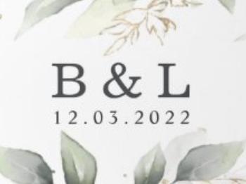 The Wedding Website of Levi Hill Jr and Breianna Dixon