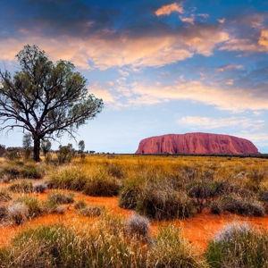 Honeymoon in Australia!