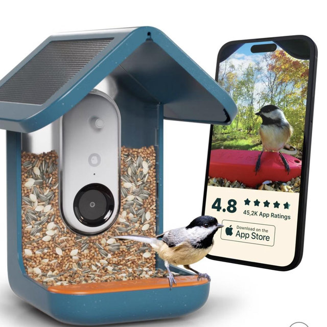 Bird Buddy Smart Bird Feeder with Camera and Solar Roof: Weather-Resistant, Hanging or Pole Mount