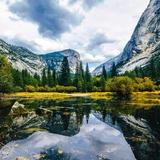 Yosemite Trails Horseback Adventures