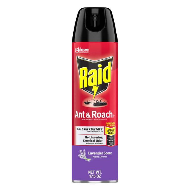 Raid Ant and Roach Killer Bug Spray - Lavender Scent - 17.5oz