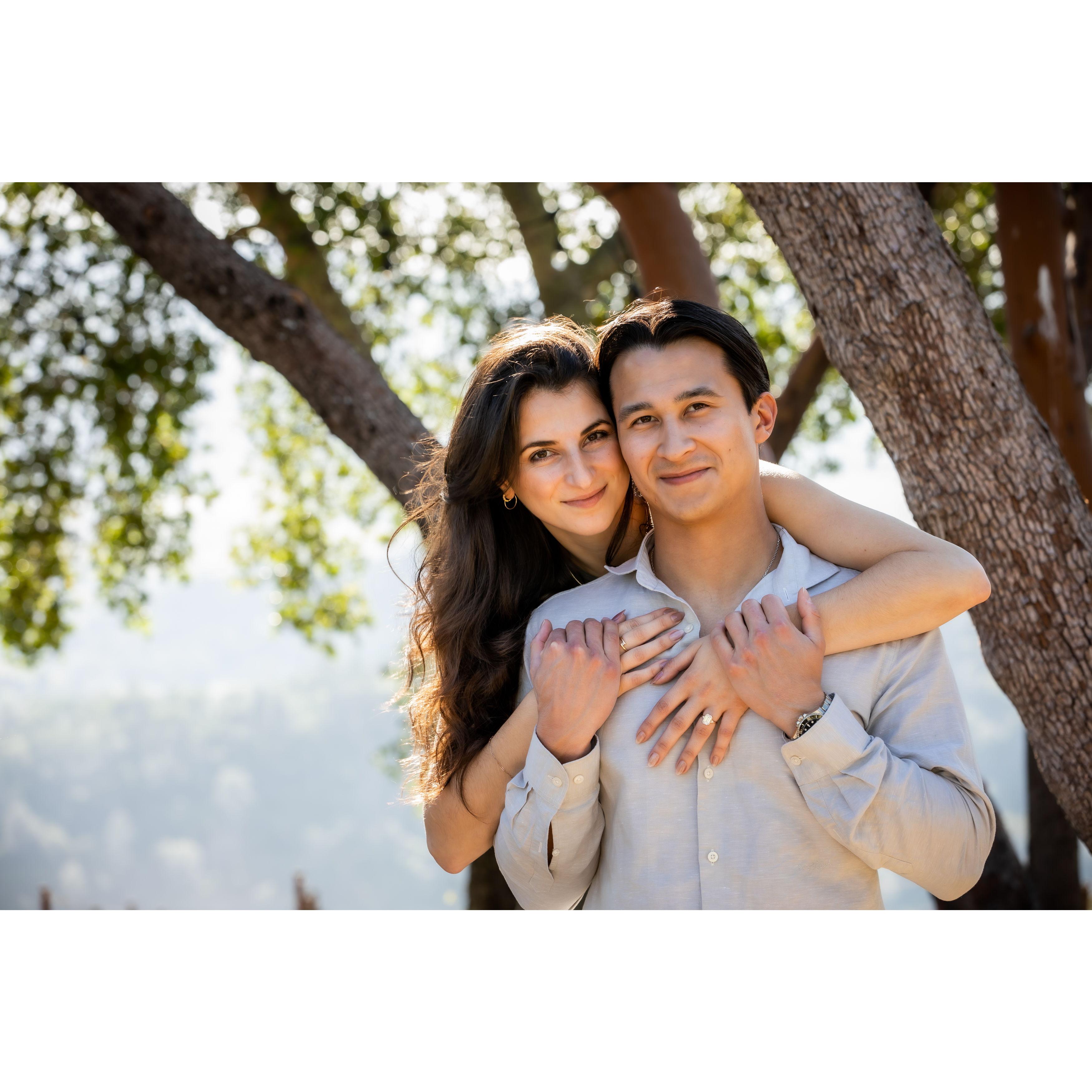 Joe proposed to Julia in Napa in a field of poppies between grape vines