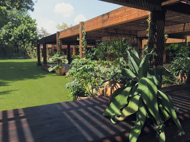 The Wedding Website of Gabriela Cardona Mazariegos and Pablo Tamayo Miranda
