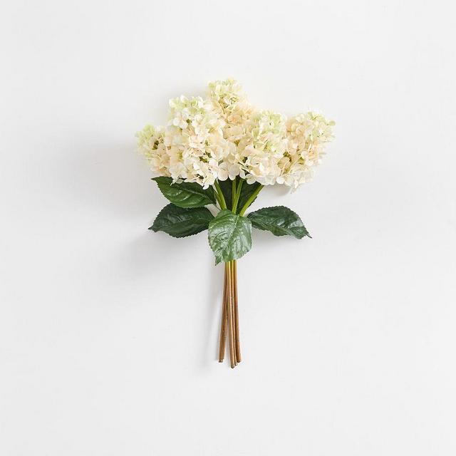 Cream Cone Hydrangea Bundle 22", 5 Stem