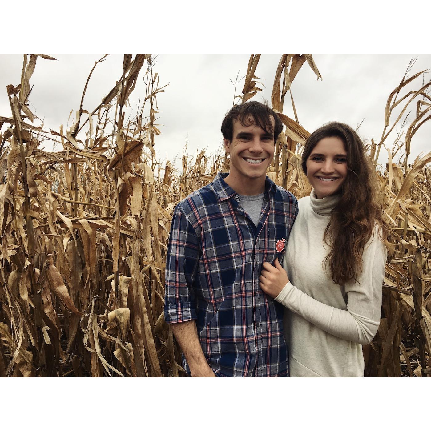 corn fields.
