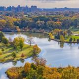 Forest Park (and its many attractions)