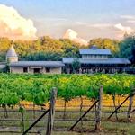 Dry Comal Creek Vineyards